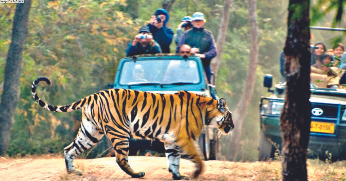 Over 100 tigers, new leopard reserves & more